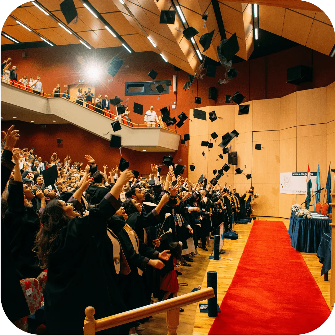 Discover the story behind Caterk